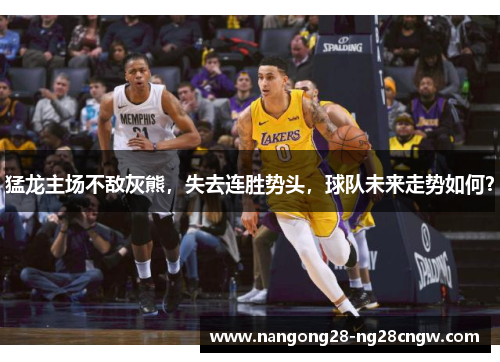 猛龙主场不敌灰熊，失去连胜势头，球队未来走势如何？
