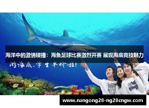 海洋中的激情碰撞：海鱼足球比赛激烈开赛 展现海底竞技魅力